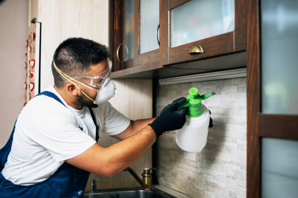 Best Flea Control Services  in Scaggsville, MD
