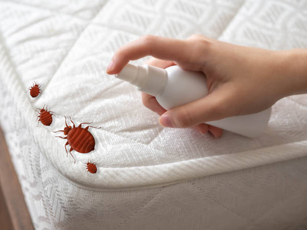 Best Affordable Pest Control Services  in Scaggsville, MD