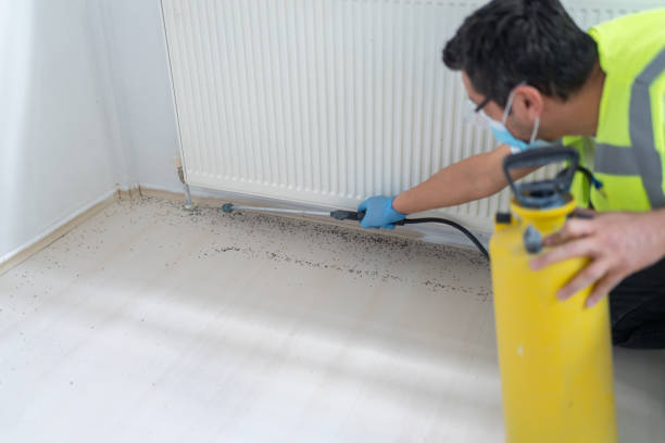 Pest Control Cost in Scaggsville, MD
