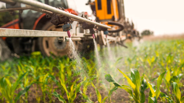 Best Ant Control Services  in Scaggsville, MD
